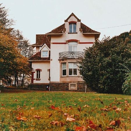 La Maison Du Markstein Linthal Екстер'єр фото