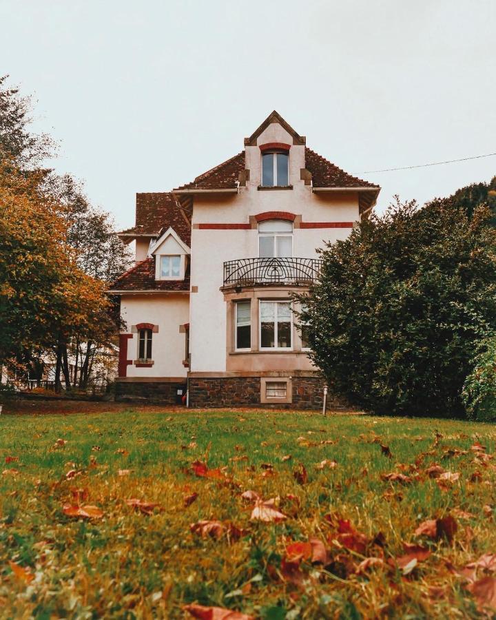 La Maison Du Markstein Linthal Екстер'єр фото